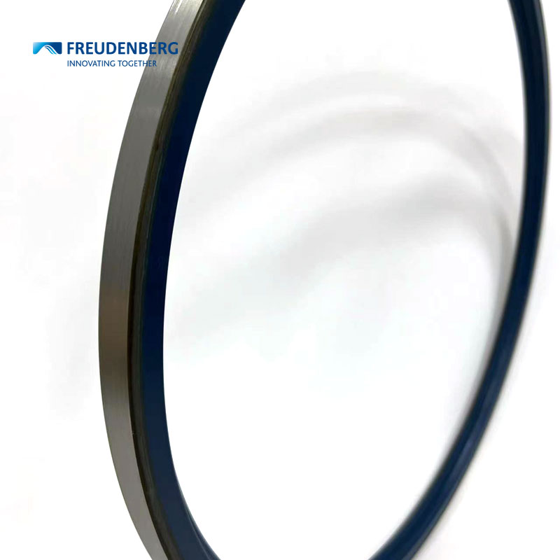 Freudenberg部分系列静态密封解决方案
